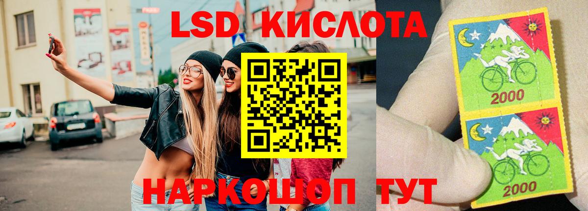 Курчатов  ЛСД экстази ecstasy  Вход с VPN  ОМГ ОМГ маркетплейс  LSD-25 экстази ecstasy 