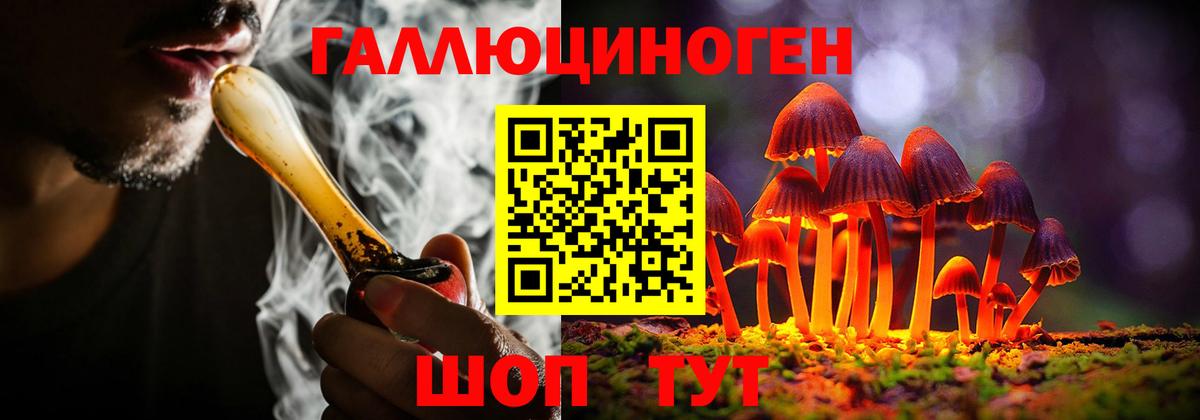 Галлюциногенные грибы GOLDEN TEACHER  Вход с VPN  Курчатов 